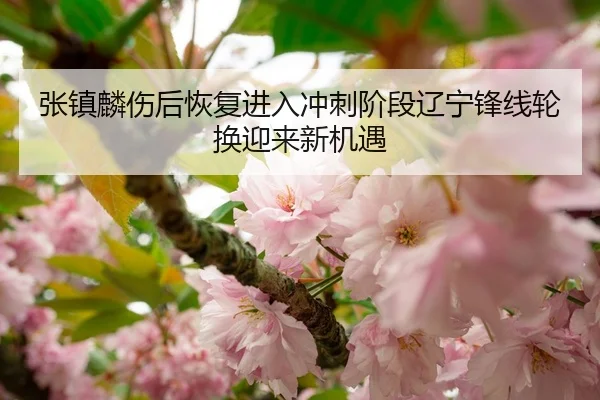 张镇麟伤后恢复进入冲刺阶段辽宁锋线轮换迎来新机遇