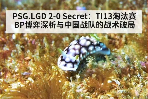 PSG.LGD 2-0 Secret：TI13淘汰赛BP博弈深析与中国战队的战术破局
