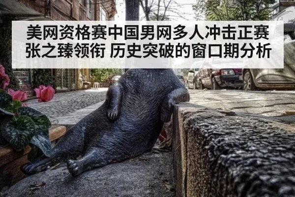美网资格赛中国男网多人冲击正赛 张之臻领衔 历史突破的窗口期分析