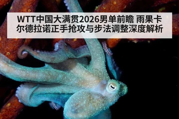 WTT中国大满贯2026男单前瞻 雨果卡尔德拉诺正手抢攻与步法调整深度解析